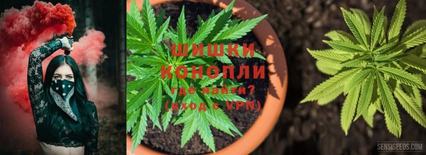 гидропоника Алексин