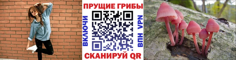 где найти Шелехов Псилоцибиновые грибы мицелий